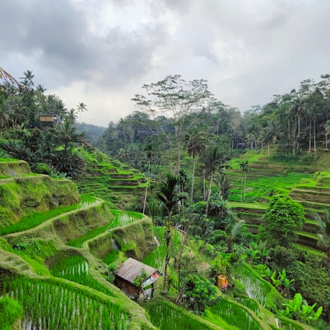 Tour Image 1