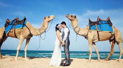 Bali Camel Ride