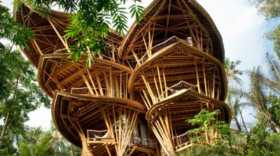 Wisata Desa Bambu Bali