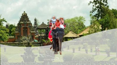 Elephant Ride and Ubud Tour