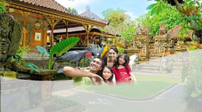 Bali Bird Park dan Wisata Ubud