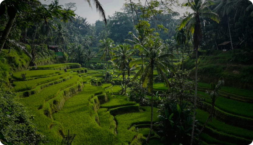 Bali Village