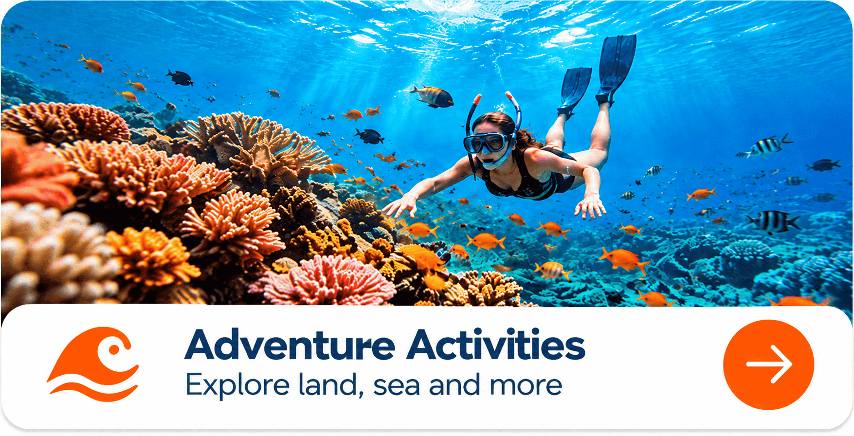 Adventure Activities