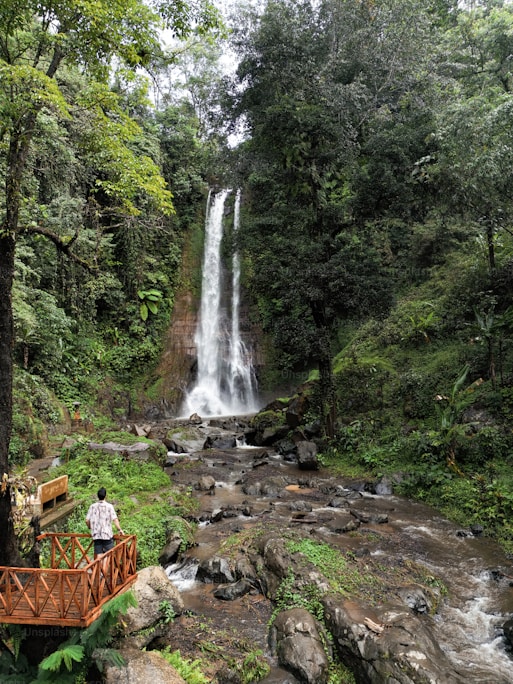 Ubud Monkey Forest