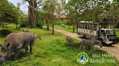 Taman Safari Laut Bali