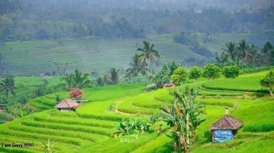 Jati Luwih dan Tanah Lot