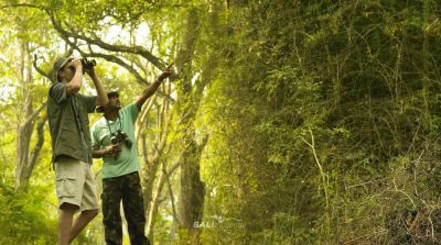 Menyaksikan Burung di alam Taman Nasionall Bali Barat