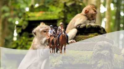 Mengendarai Kuda dan Tur Ubud